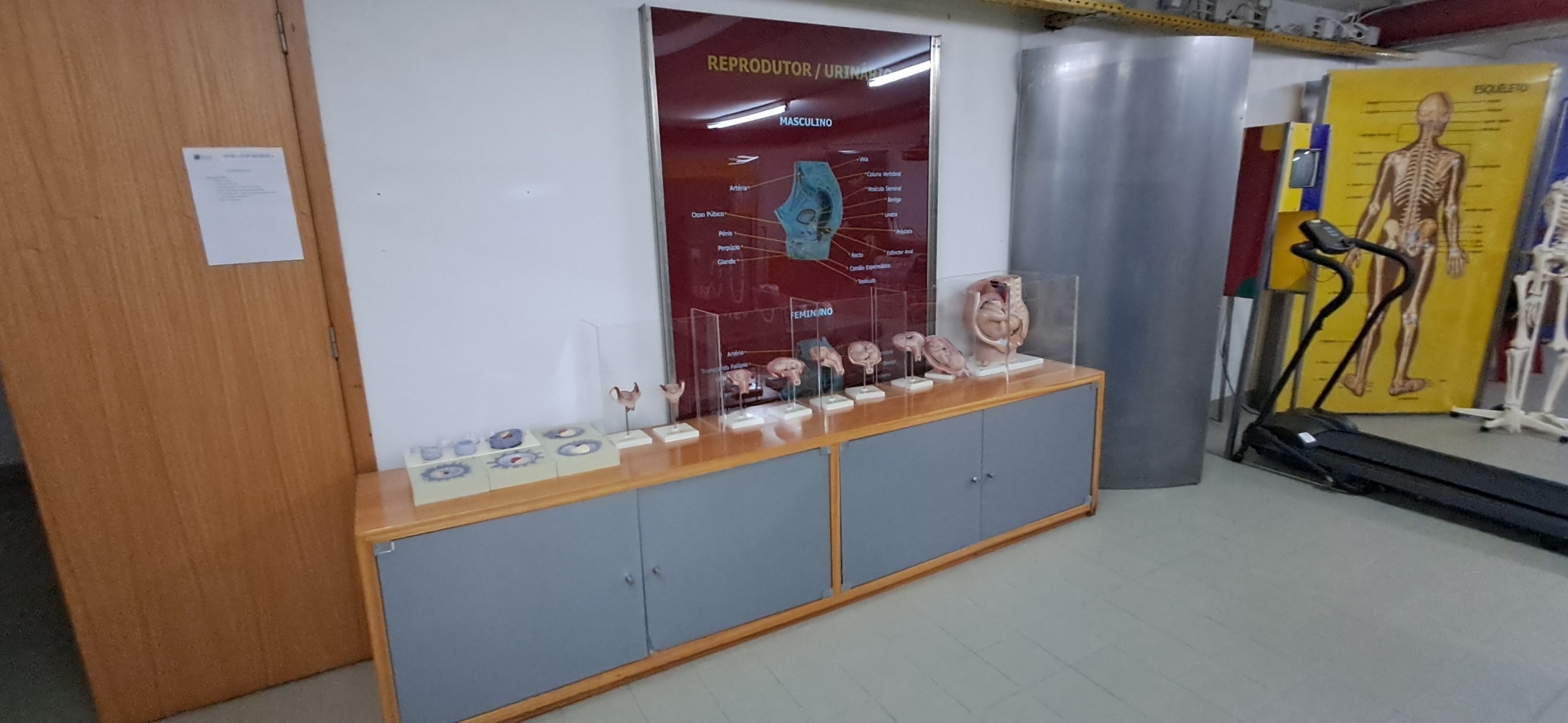 Exposição “O meu pequeno grande corpo”