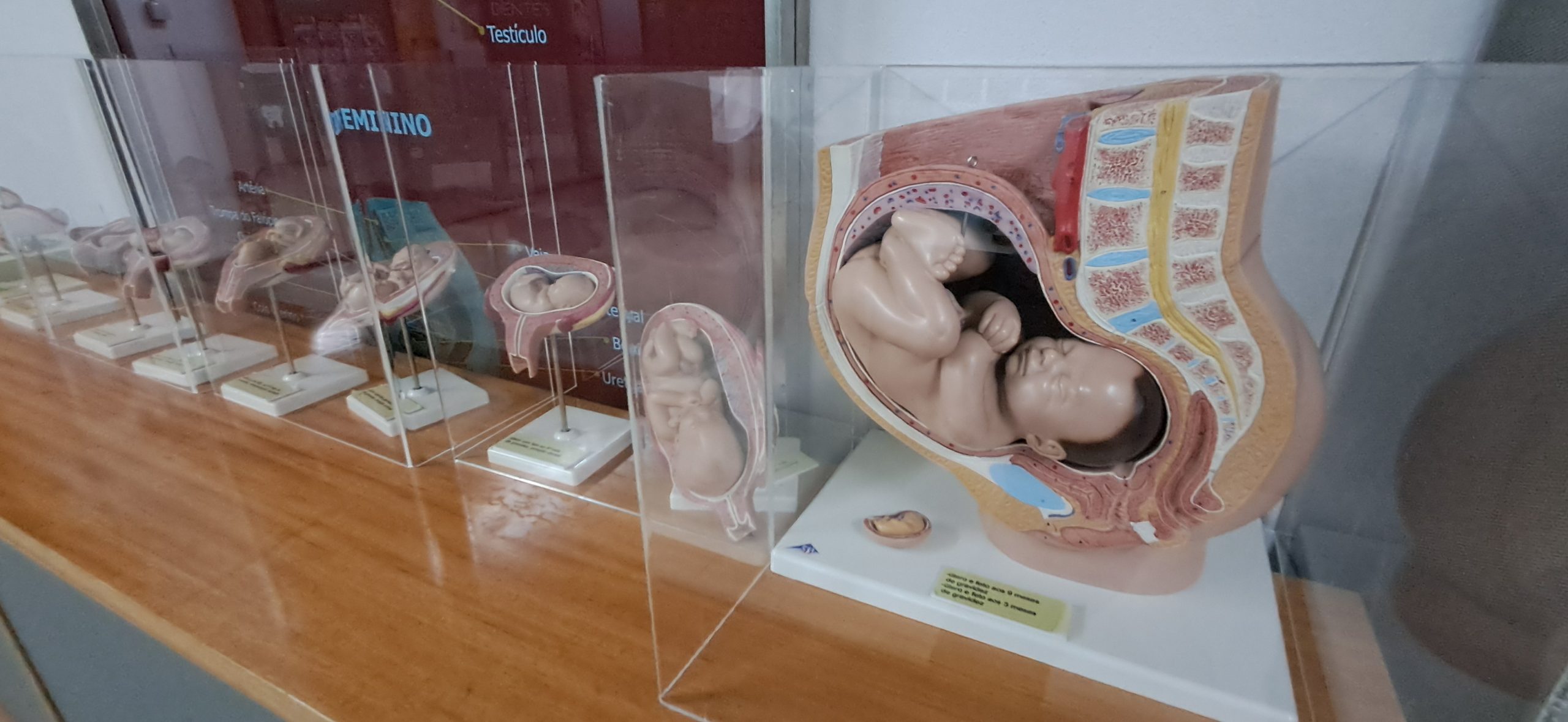 Exposição “O meu pequeno grande corpo”