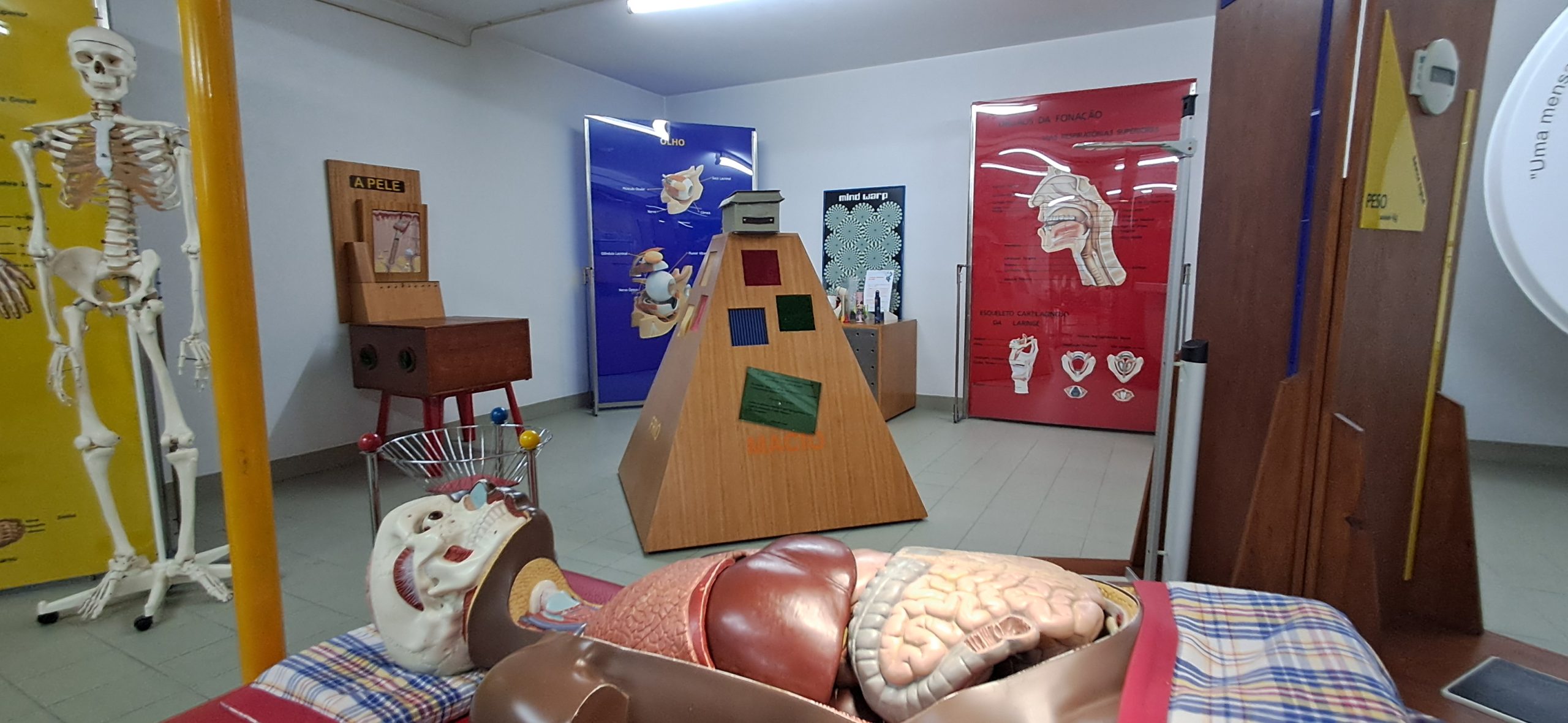 Exposição “O meu pequeno grande corpo”