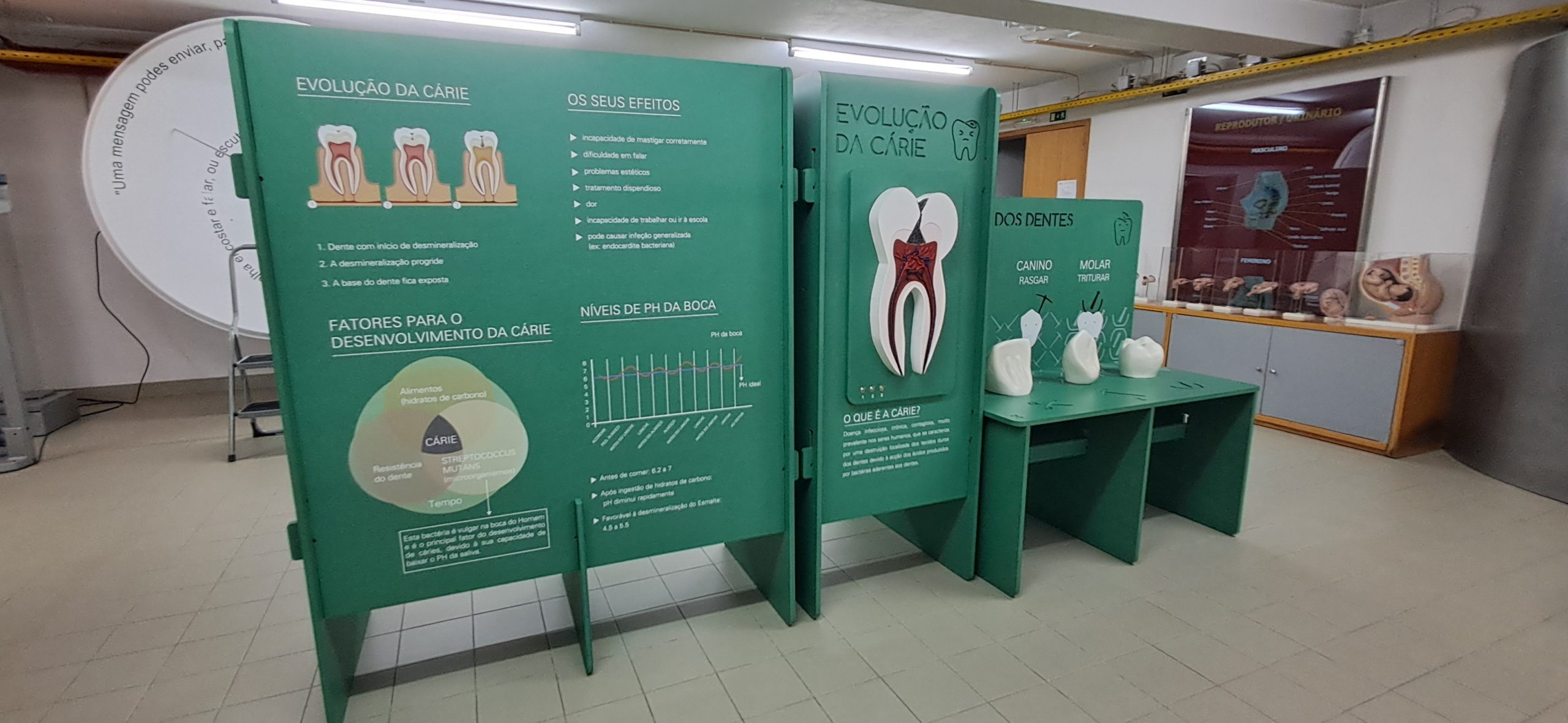 Exposição “Visita a saúde dos teus dentes”